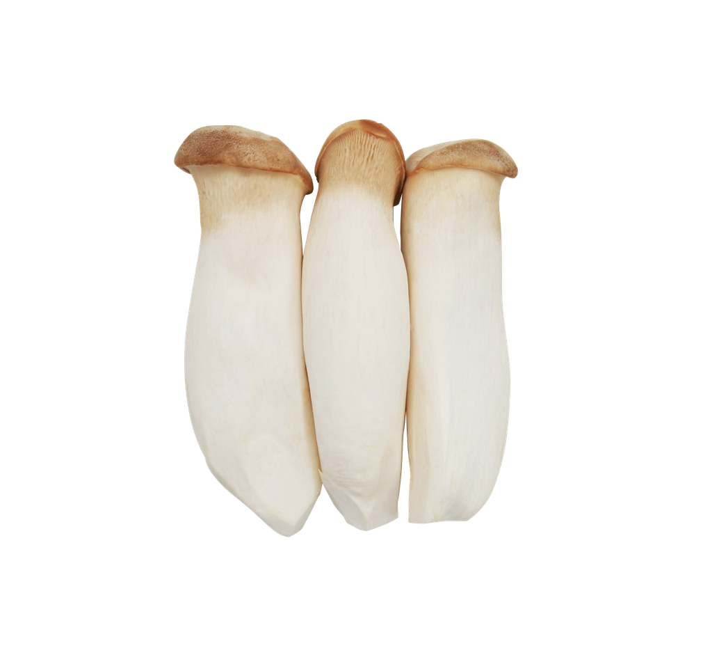 杏鲍菇（中二1kg）