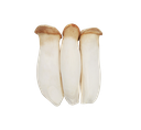 杏鲍菇（中二1kg）